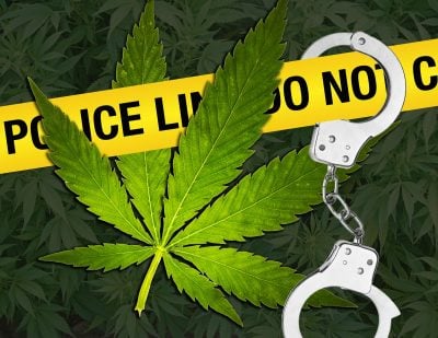 impact of marijuana legalization on crime rates