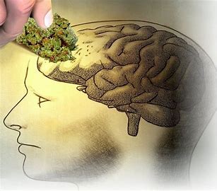Marijuana Use Affects Long-Term Memory