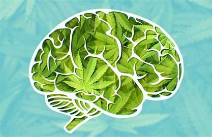 Does Marijuana Cause Memory Loss